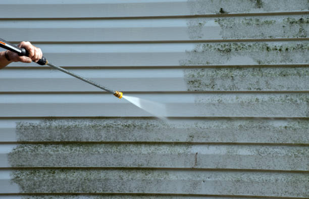 Trusted Westville, IL Pressure washing Experts